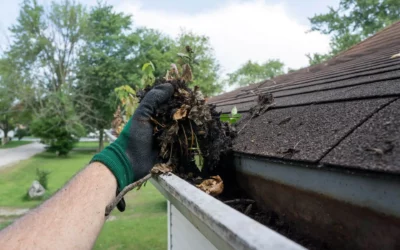 Are Your Gutters Ready for Fall?