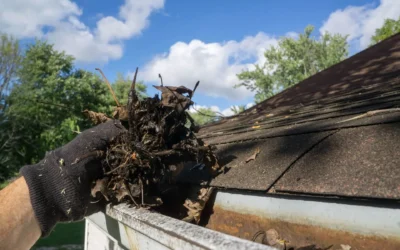Here’s How Often to Clean Your Gutters